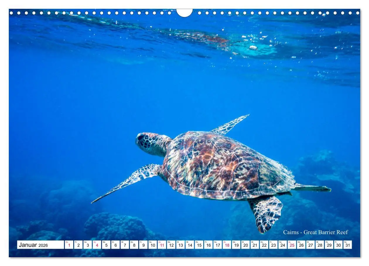 Bild: 9783457793596 | Australien Ostküste - von Cairns nach Sydney (Wandkalender 2026 DIN...