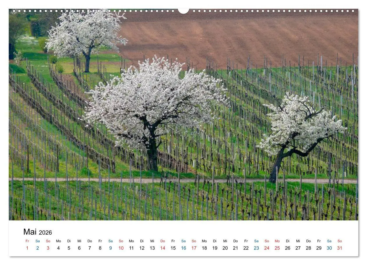 Bild: 9783516193596 | Württemberger Wein 2026 (hochwertiger Premium Wandkalender 2026 DIN...