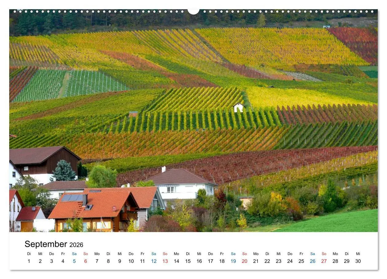 Bild: 9783516193596 | Württemberger Wein 2026 (hochwertiger Premium Wandkalender 2026 DIN...