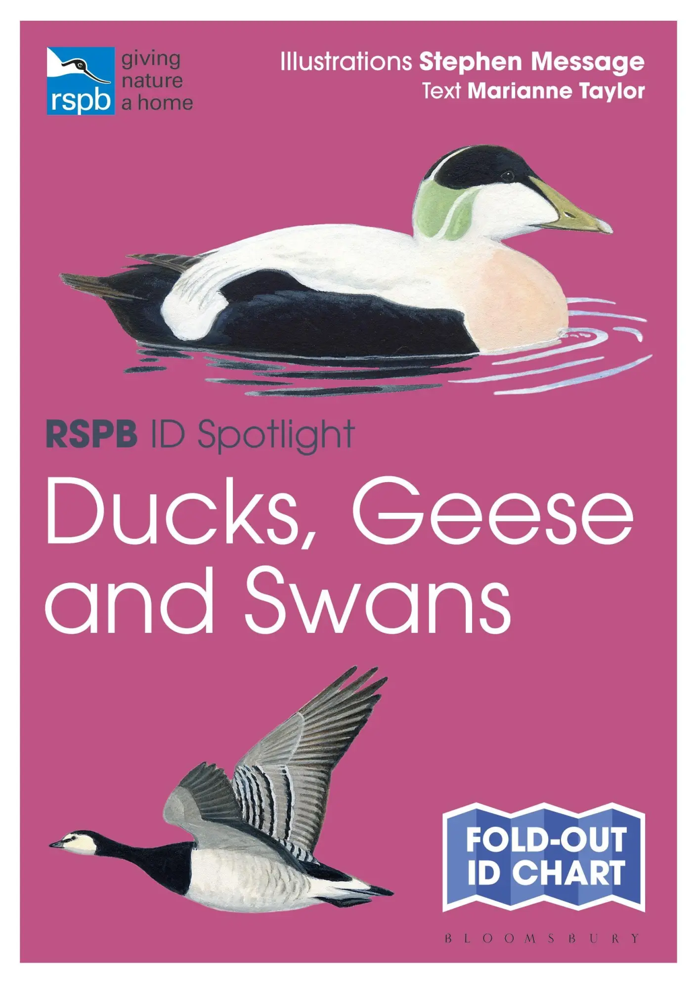 Cover: 9781399403696 | RSPB ID Spotlight - Ducks, Geese and Swans | Marianne Taylor | Buch