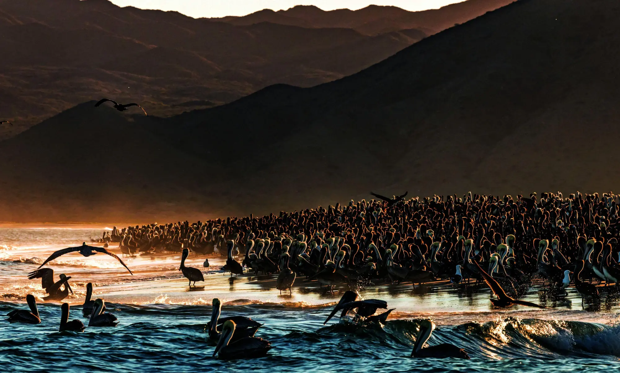Bild: 9788831403696 | Baja California Peninsula | Stefano Frontani | Buch | 240 S. | 2026