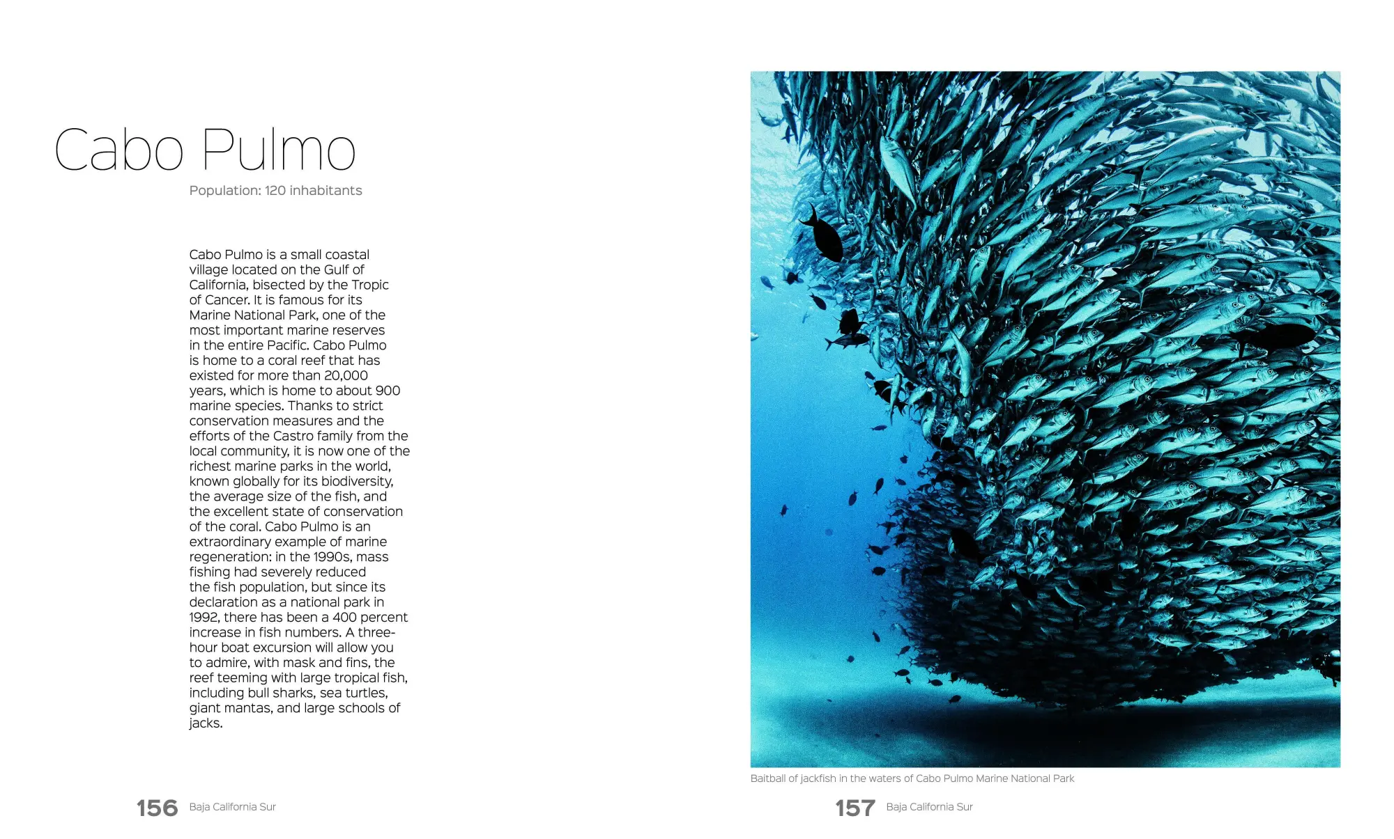 Bild: 9788831403696 | Baja California Peninsula | Stefano Frontani | Buch | 240 S. | 2026