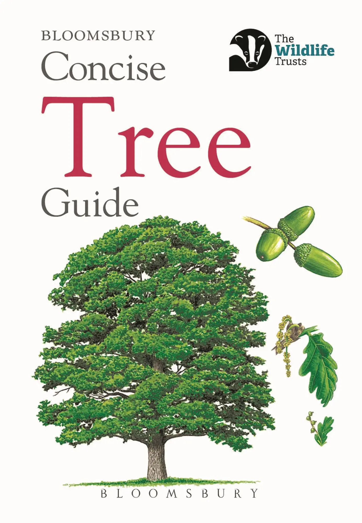 Cover: 9781472963796 | Concise Tree Guide | Bloomsbury | Taschenbuch | Englisch | 2018