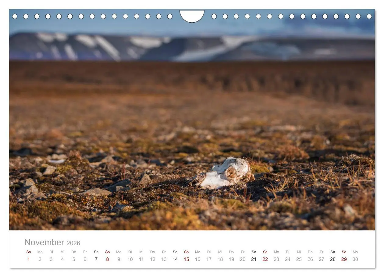 Bild: 9783457843796 | Spitzbergen - Wild.Rau.Ungezähmt. (Wandkalender 2026 DIN A4 quer),...