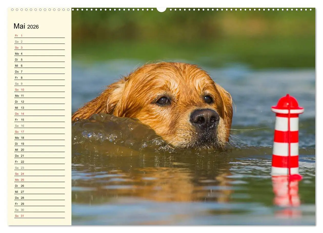 Bild: 9783516003796 | Das Glück hat einen Namen - Golden Retriever (hochwertiger Premium...