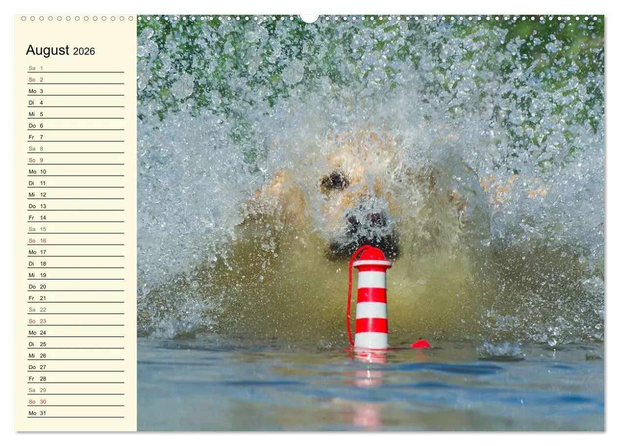 Bild: 9783516003796 | Das Glück hat einen Namen - Golden Retriever (hochwertiger Premium...