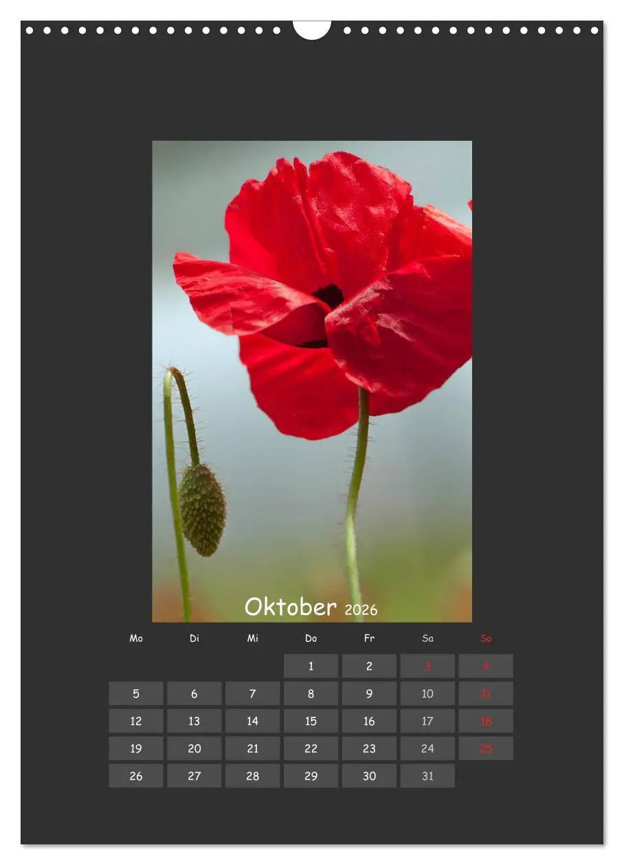 Bild: 9783516483796 | Mohn (Wandkalender 2026 DIN A3 hoch), CALVENDO Monatskalender | 2026