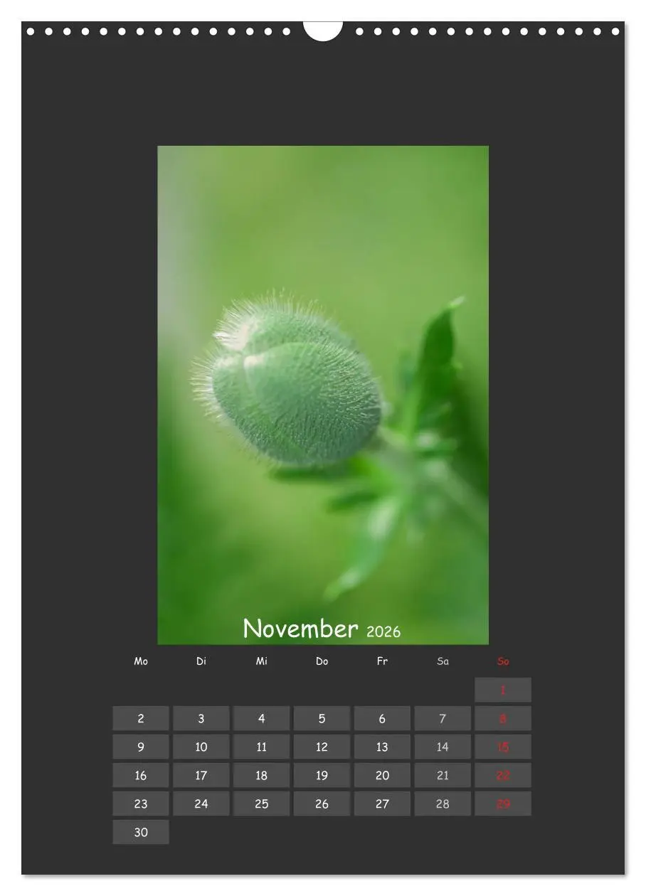 Bild: 9783516483796 | Mohn (Wandkalender 2026 DIN A3 hoch), CALVENDO Monatskalender | 2026