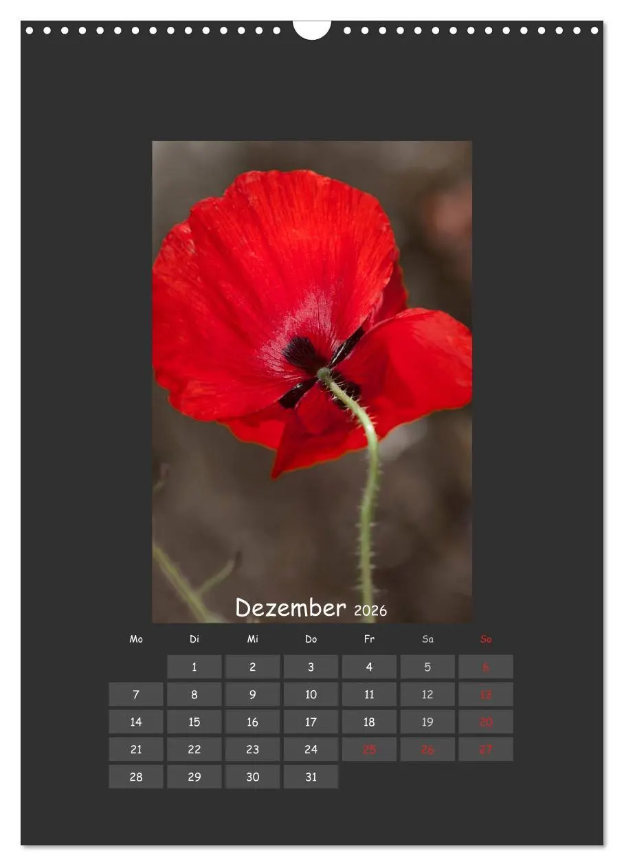 Bild: 9783516483796 | Mohn (Wandkalender 2026 DIN A3 hoch), CALVENDO Monatskalender | 2026