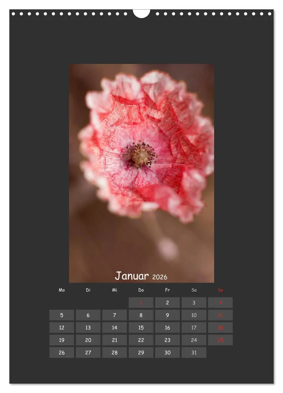 Bild: 9783516483796 | Mohn (Wandkalender 2026 DIN A3 hoch), CALVENDO Monatskalender | 2026