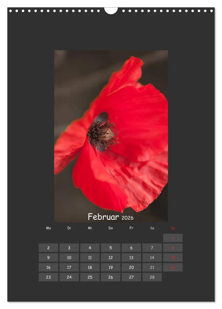 Bild: 9783516483796 | Mohn (Wandkalender 2026 DIN A3 hoch), CALVENDO Monatskalender | 2026