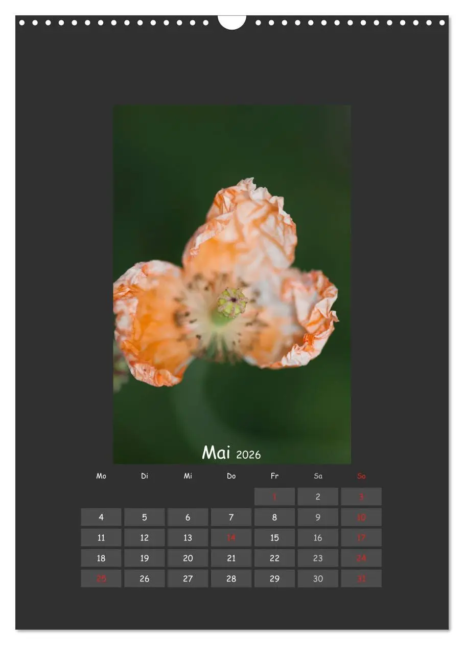 Bild: 9783516483796 | Mohn (Wandkalender 2026 DIN A3 hoch), CALVENDO Monatskalender | 2026