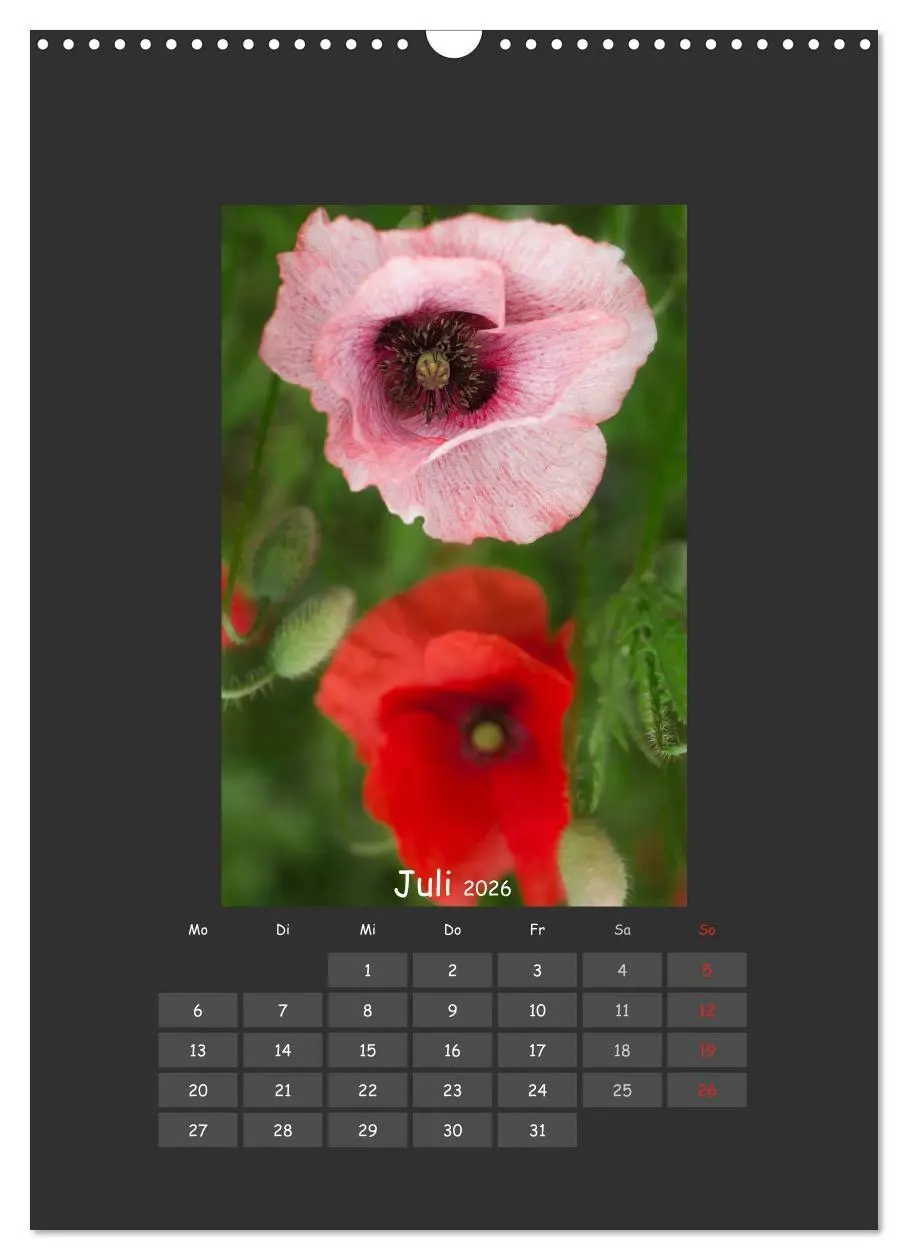 Bild: 9783516483796 | Mohn (Wandkalender 2026 DIN A3 hoch), CALVENDO Monatskalender | 2026