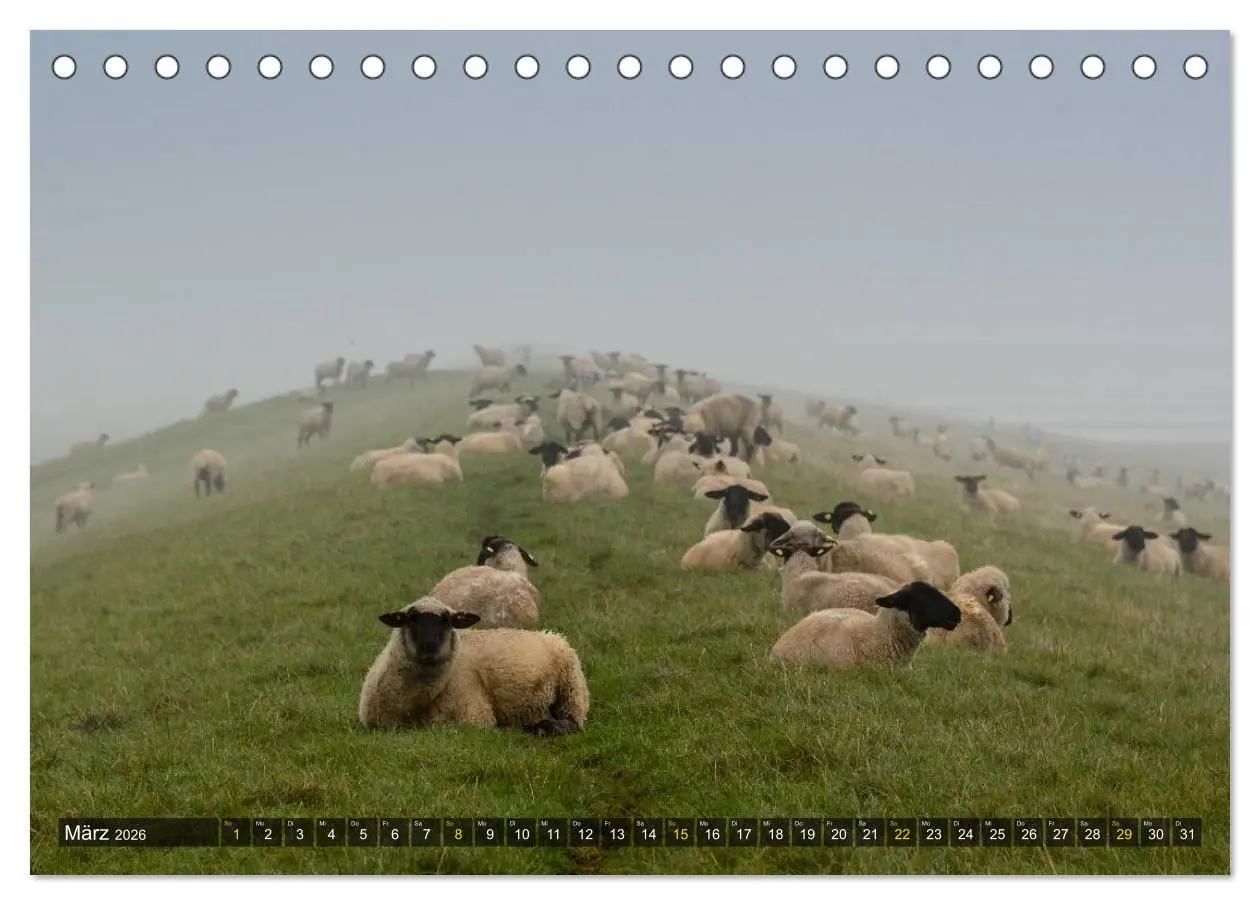 Bild: 9783516093896 | Impressionen aus dem Wesermarsch - Butjadingen 2026 (Tischkalender...