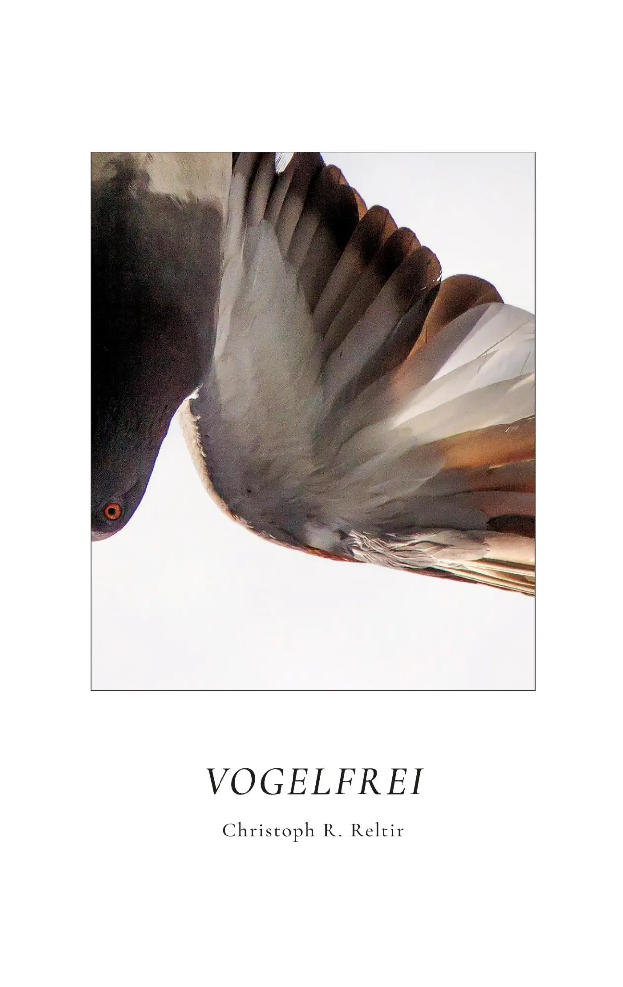 Cover: 9783695743896 | Vogelfrei | Christoph R. Reltir | Taschenbuch | 148 S. | Deutsch