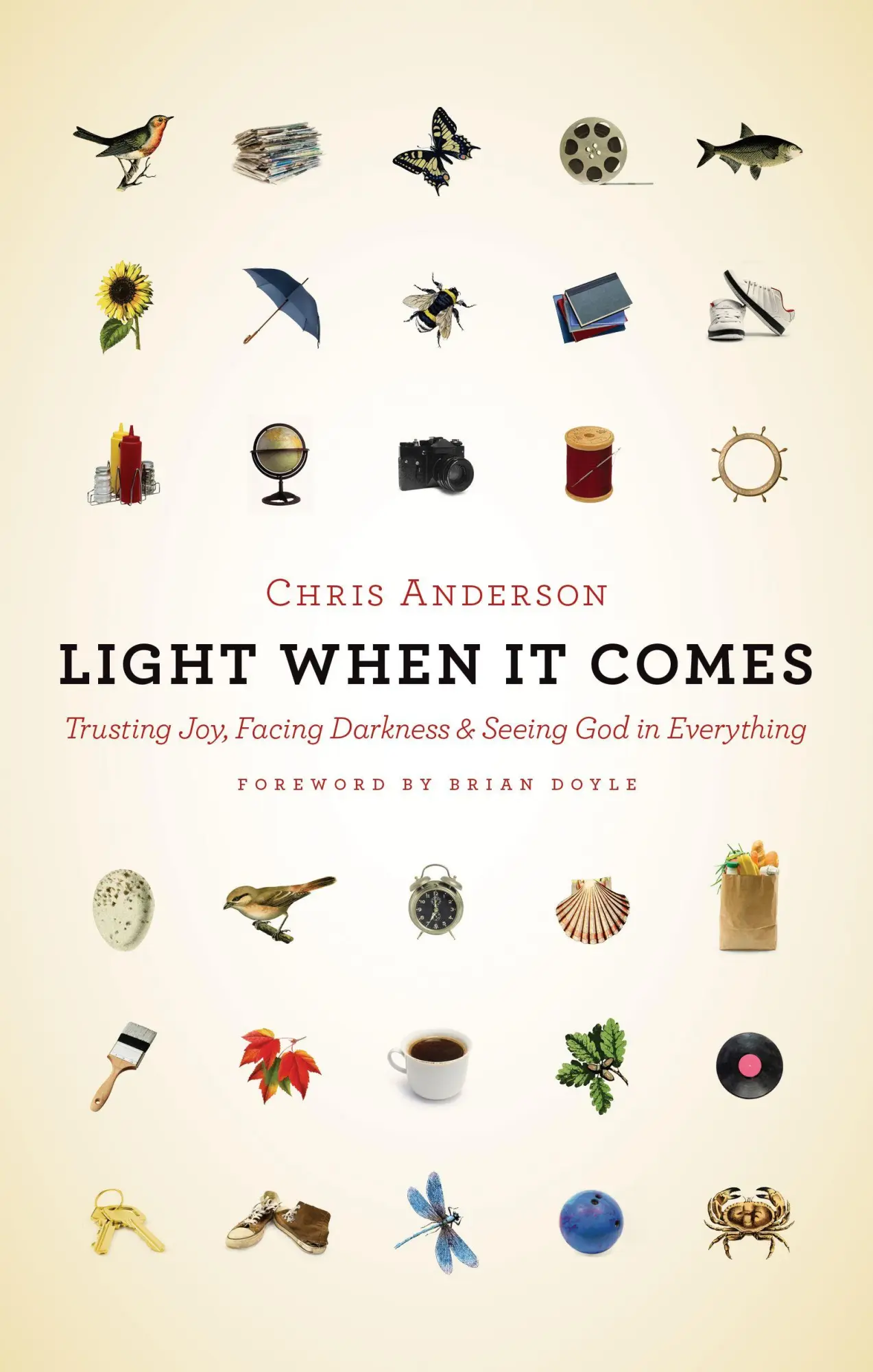 Cover: 9780802873996 | Light When It Comes | Chris Anderson | Taschenbuch | Englisch | 2016