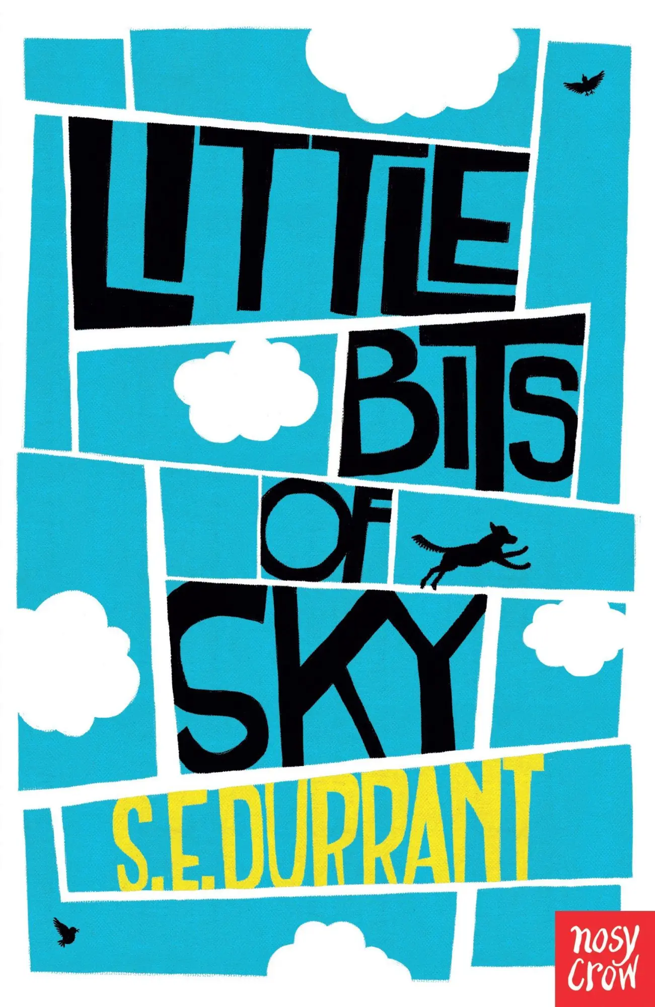 Cover: 9780857633996 | Little Bits of Sky | S. E. Durrant | Taschenbuch | 206 S. | Englisch