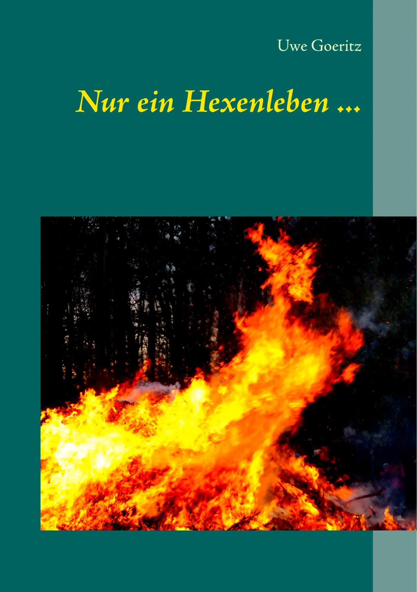 Cover: 9783746073996 | Nur ein Hexenleben ... | Uwe Goeritz | Taschenbuch | 312 S. | Deutsch