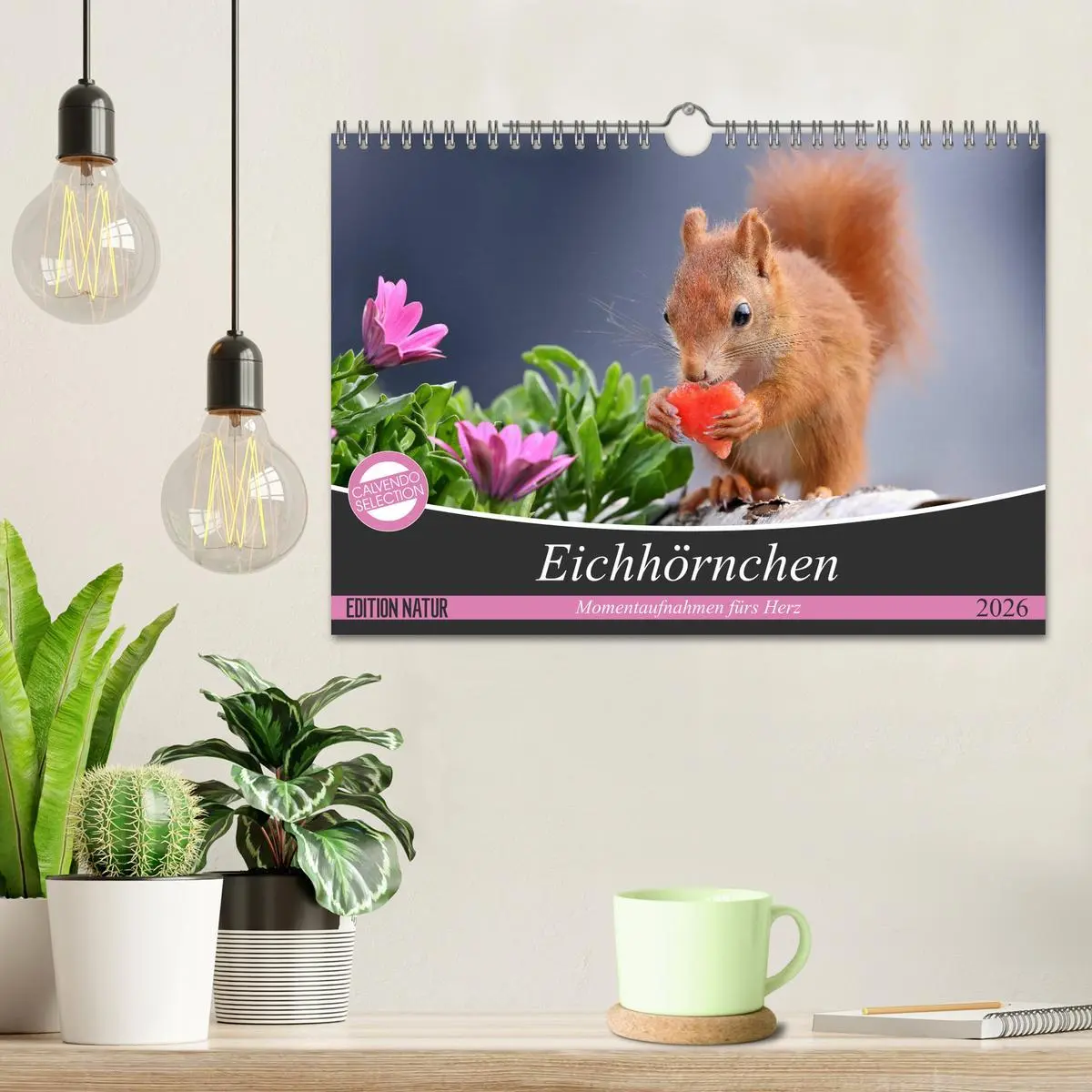 Bild: 9783457884096 | Eichhörnchen Momentaufnahmen fürs Herz (Wandkalender 2026 DIN A4...