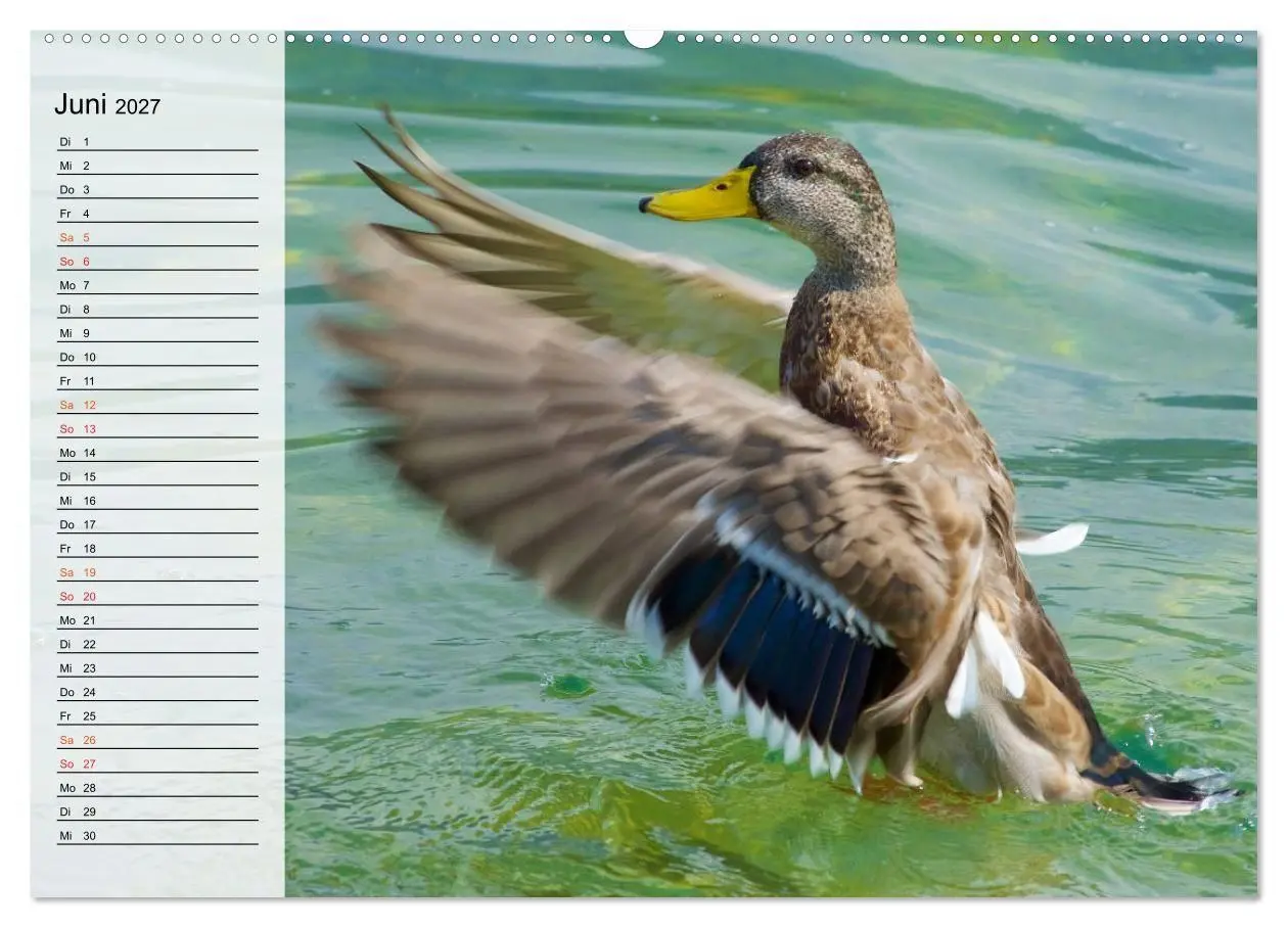 Bild: 9783569684096 | Caldonazzo See (hochwertiger Premium Wandkalender 2027 DIN A2...
