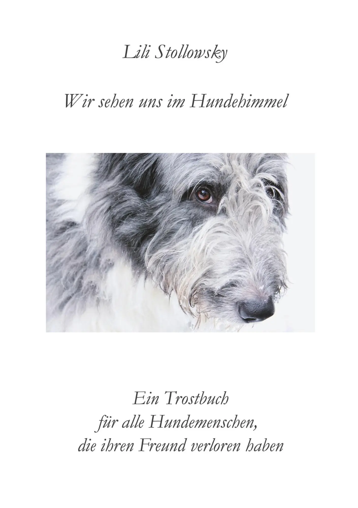 Cover: 9783749484096 | Wir sehen uns im Hundehimmel | Lili Stollowsky | Taschenbuch | 84 S.