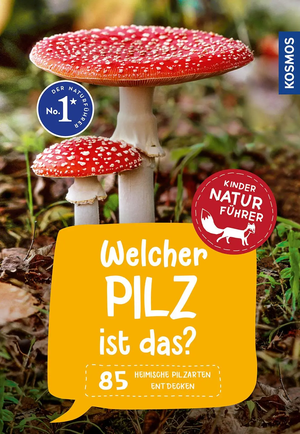 Cover: 9783440174296 | Welcher Pilz ist das? Kindernaturführer | Bärbel Oftring (u. a.)