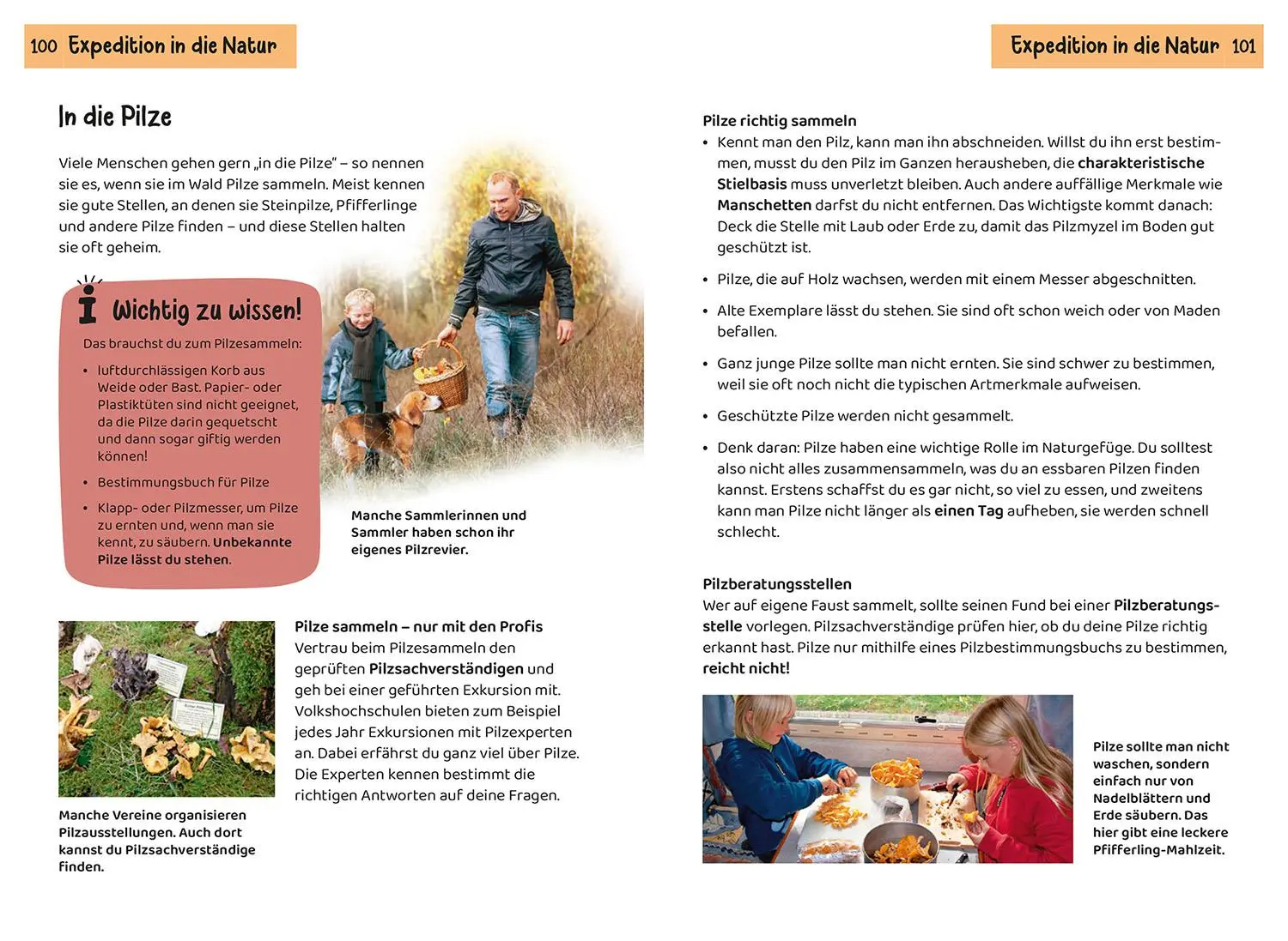 Bild: 9783440174296 | Welcher Pilz ist das? Kindernaturführer | Bärbel Oftring (u. a.)