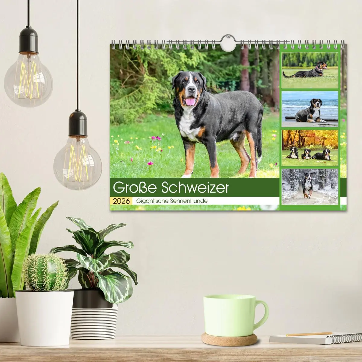 Bild: 9783457314296 | Große Schweizer - Gigantische Sennenhunde (Wandkalender 2026 DIN A4...