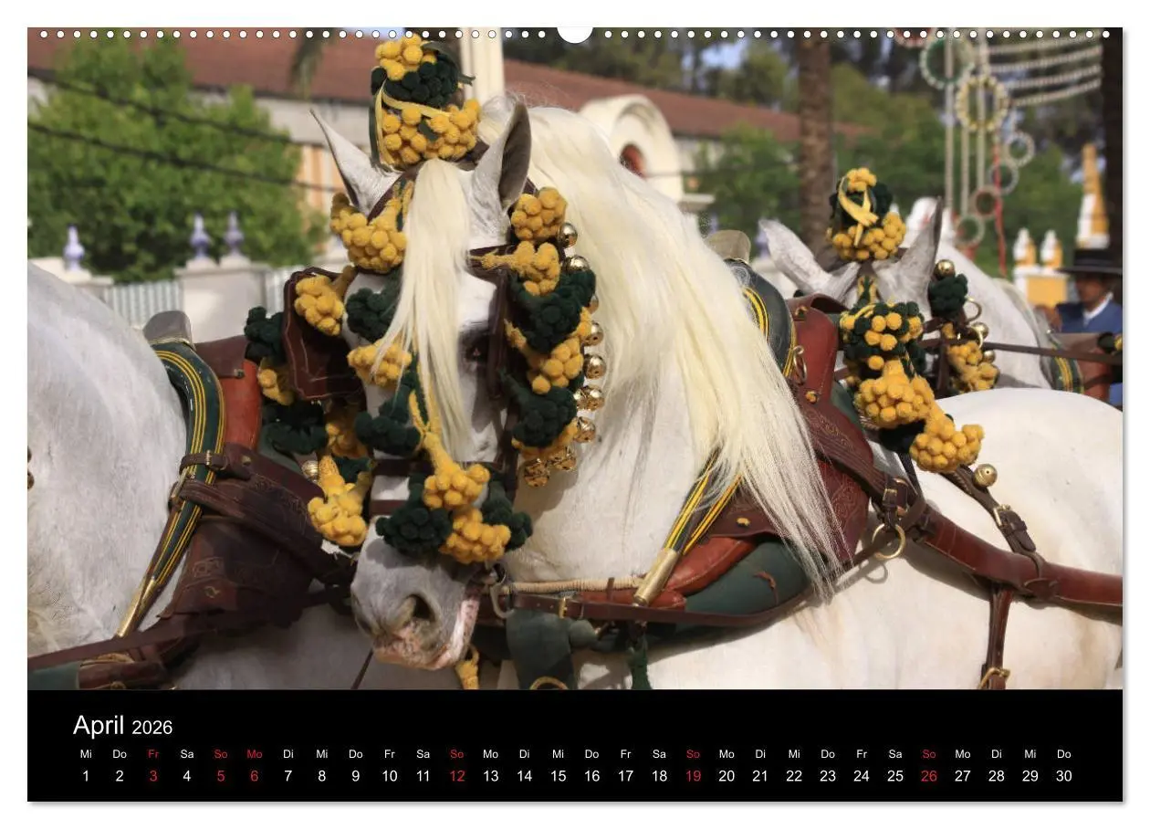 Bild: 9783516024296 | Caballos Spanische Pferde 2026 (Wandkalender 2026 DIN A2 quer),...