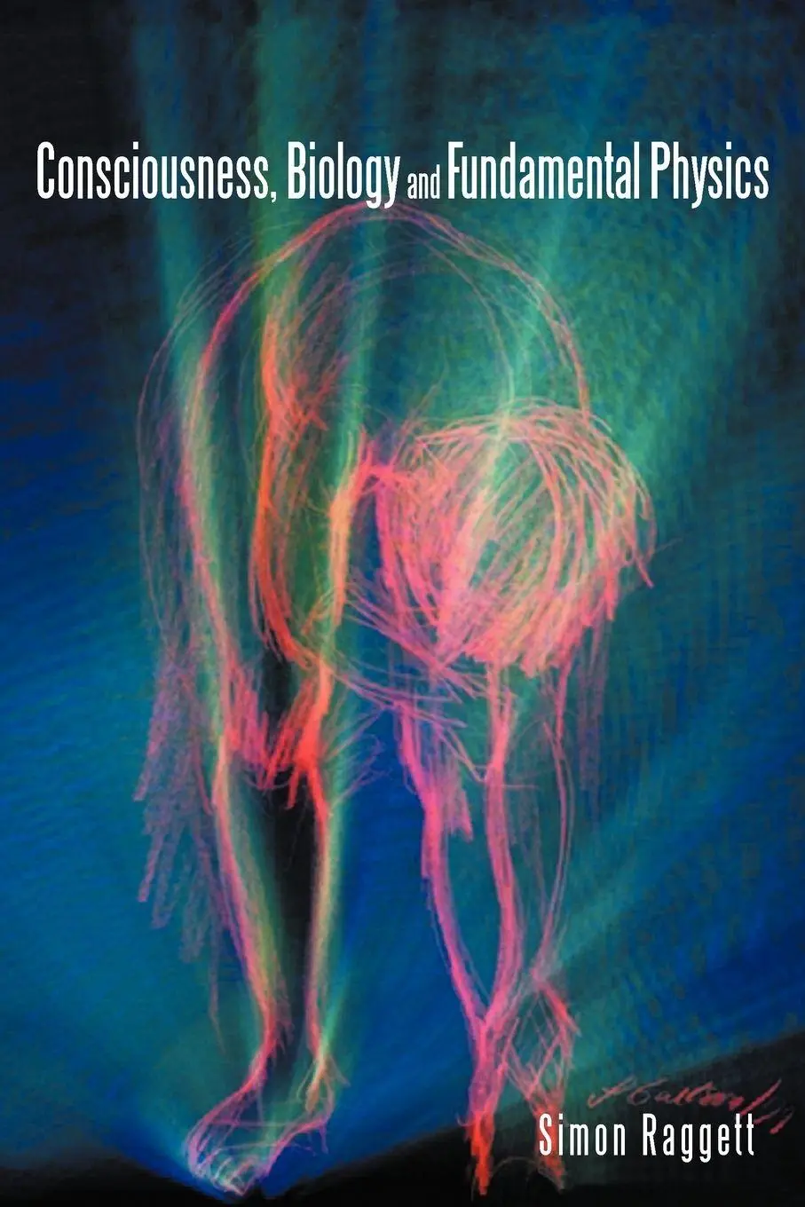 Cover: 9781467884396 | Consciousness, Biology and Fundamental Physics | Simon Raggett | Buch