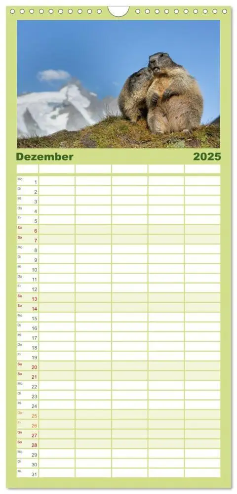 Bild: 9783457094396 | Familienplaner 2025 - Alpenmurmeltiere - Stars vor der Kamera mit 5...