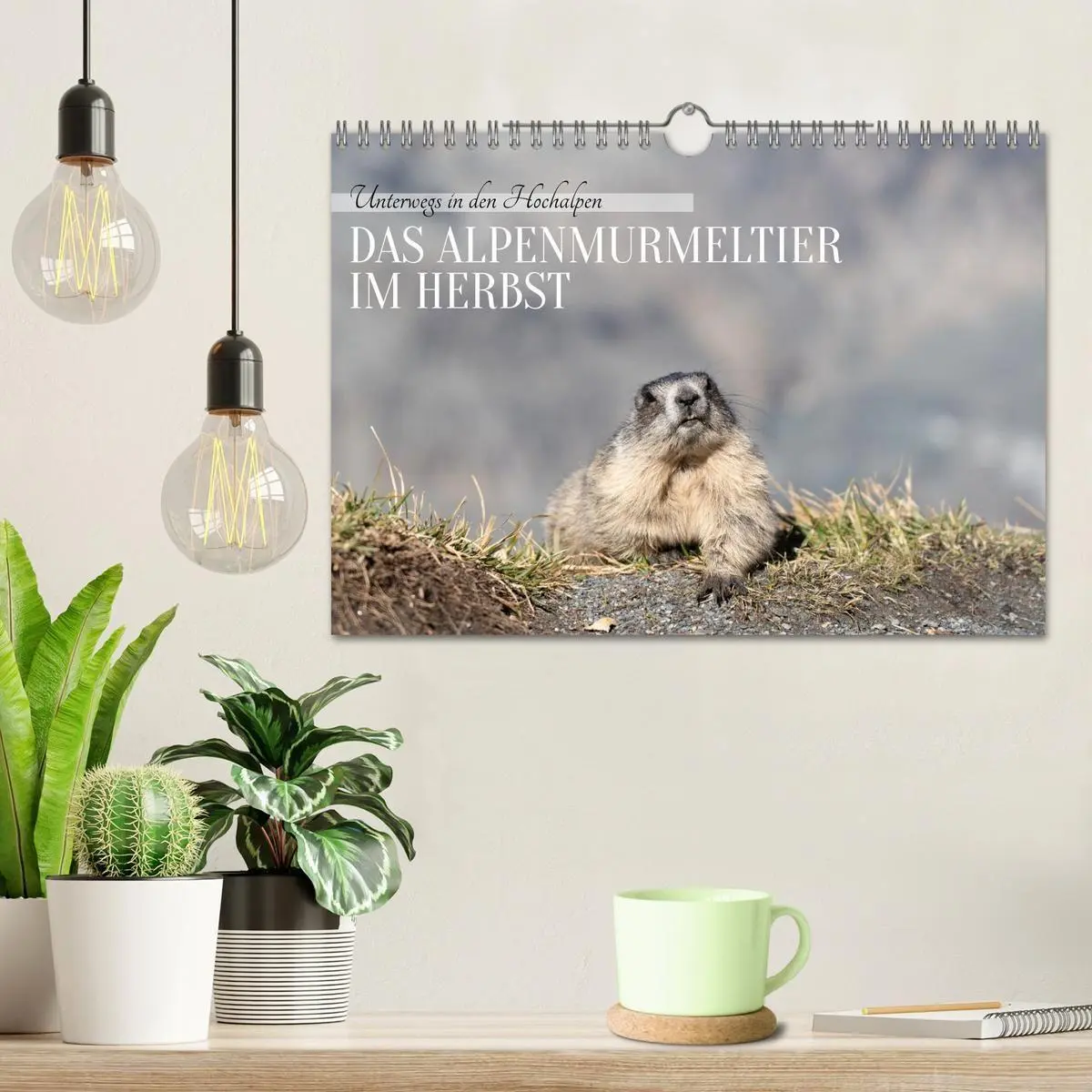 Bild: 9783516704396 | Unterwegs in den Hochalpen - Das Alpenmurmeltier im Herbst...
