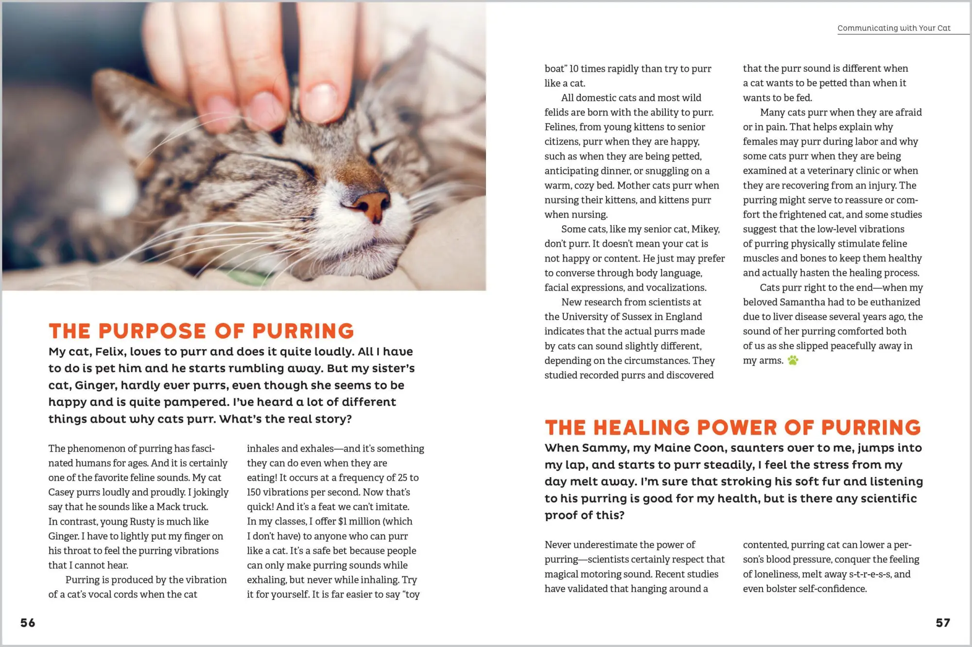 Bild: 9781635864496 | The Cat Behavior Answer Book, 2nd Edition | Arden Moore | Taschenbuch
