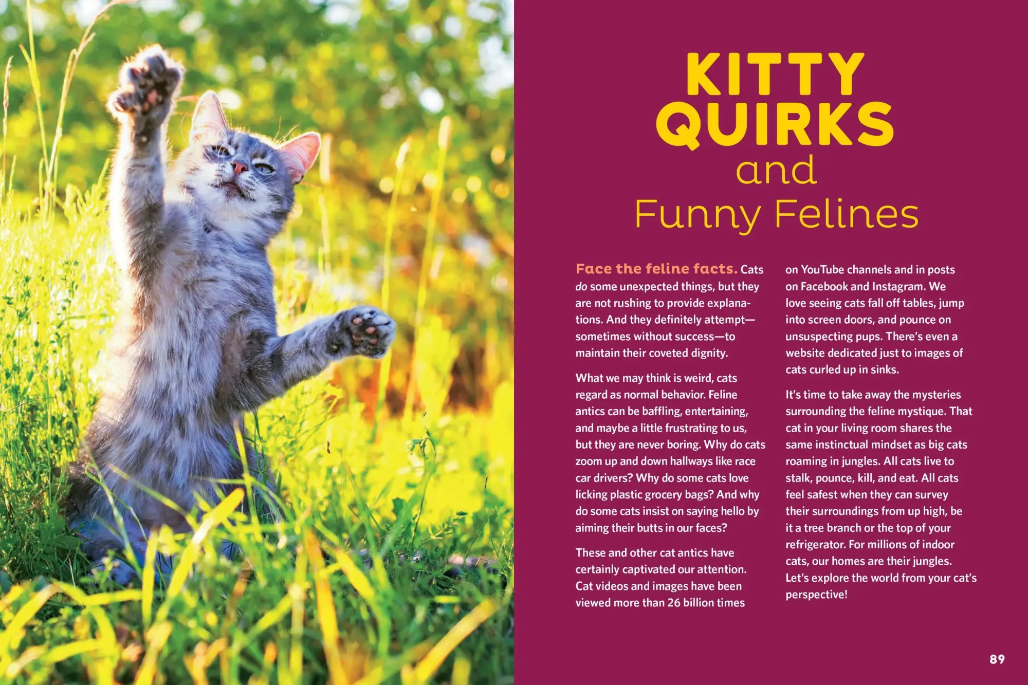 Bild: 9781635864496 | The Cat Behavior Answer Book, 2nd Edition | Arden Moore | Taschenbuch