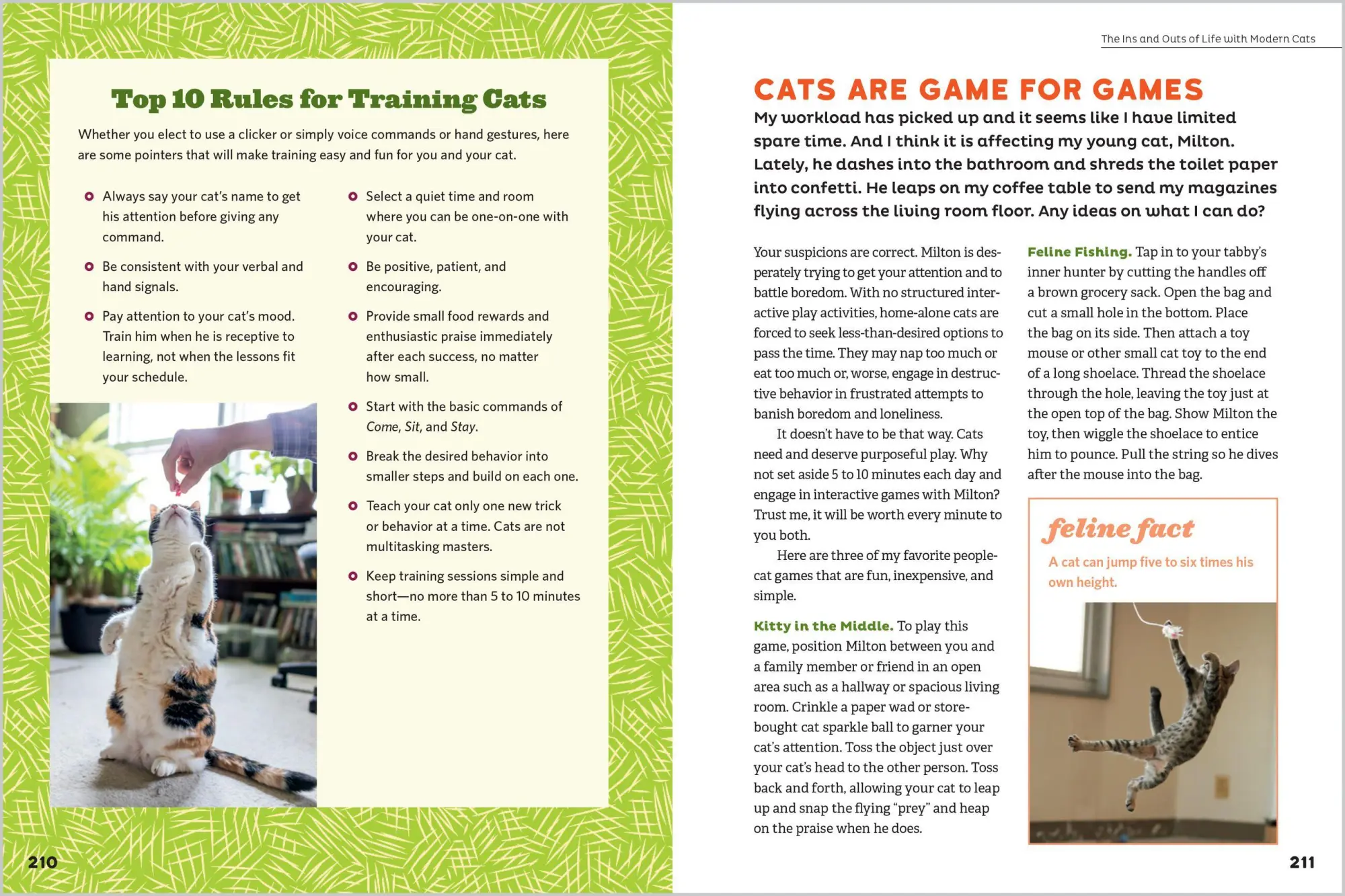 Bild: 9781635864496 | The Cat Behavior Answer Book, 2nd Edition | Arden Moore | Taschenbuch