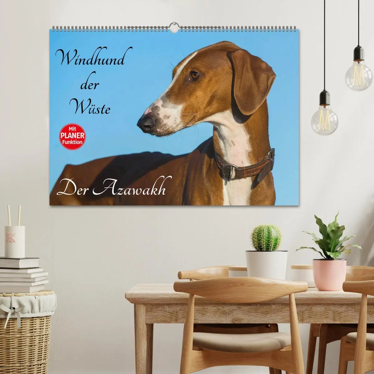 Bild: 9783516004496 | Windhund der Wüste - Der Azawakh (Wandkalender 2026 DIN A2 quer),...