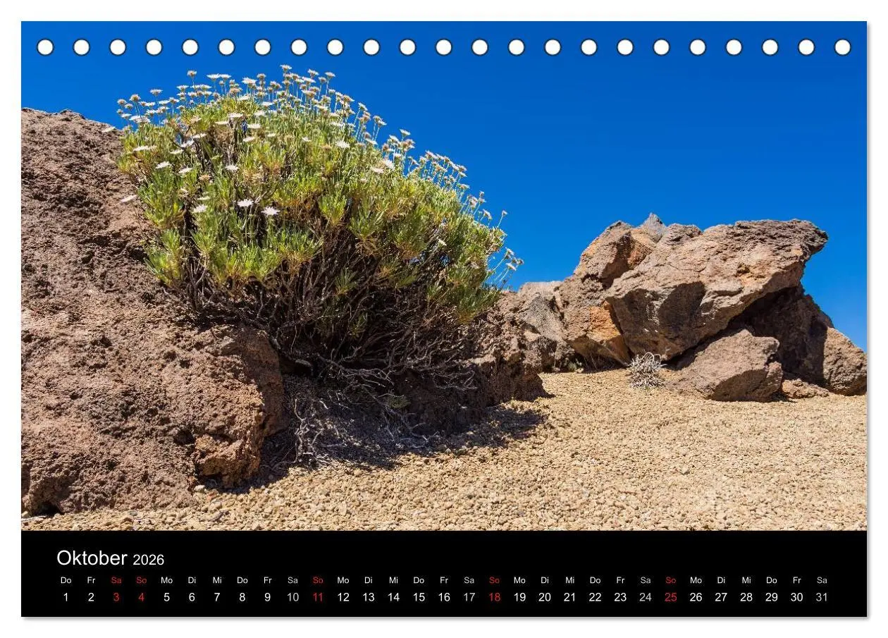 Bild: 9783516174496 | Teneriffa (Tischkalender 2026 DIN A5 quer), CALVENDO Monatskalender