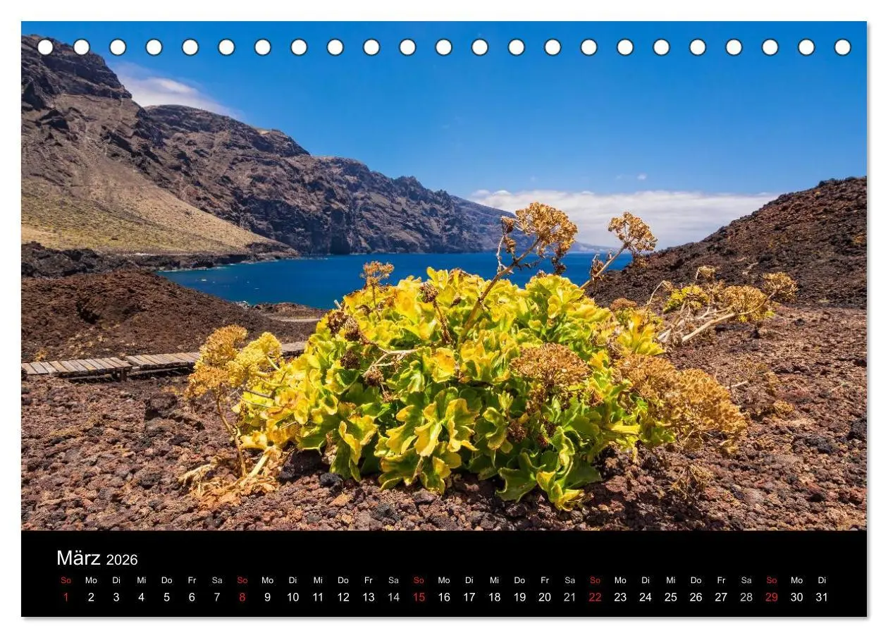 Bild: 9783516174496 | Teneriffa (Tischkalender 2026 DIN A5 quer), CALVENDO Monatskalender