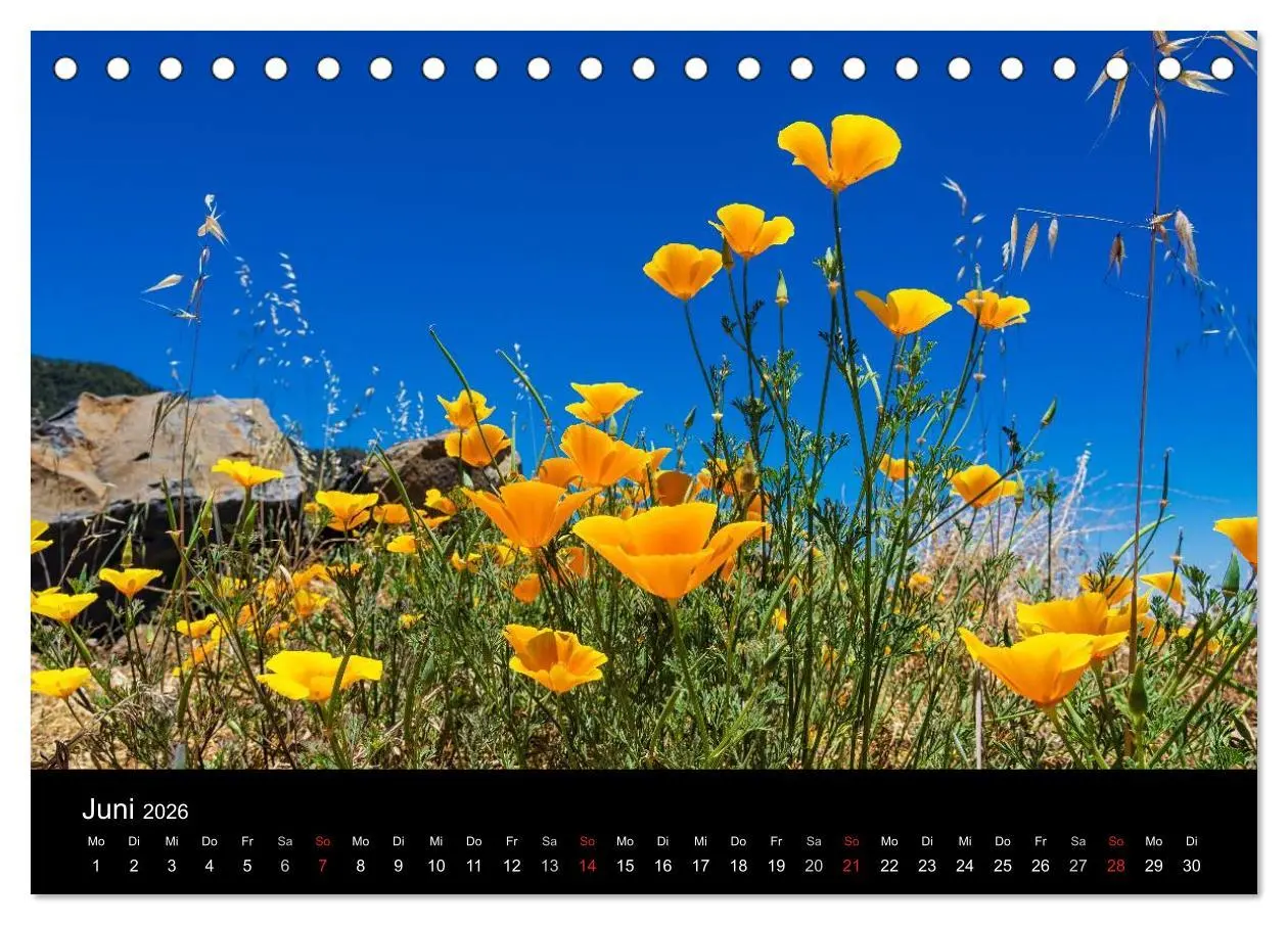 Bild: 9783516174496 | Teneriffa (Tischkalender 2026 DIN A5 quer), CALVENDO Monatskalender