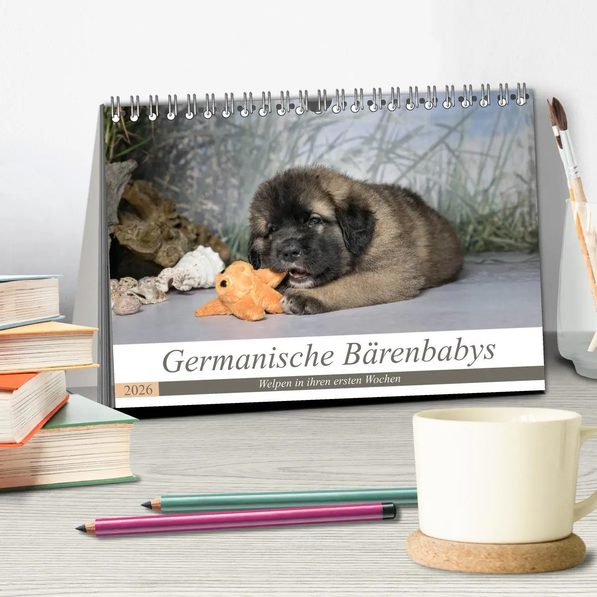 Bild: 9783457834596 | Germanische Bärenbabys (Tischkalender 2026 DIN A5 quer), CALVENDO...