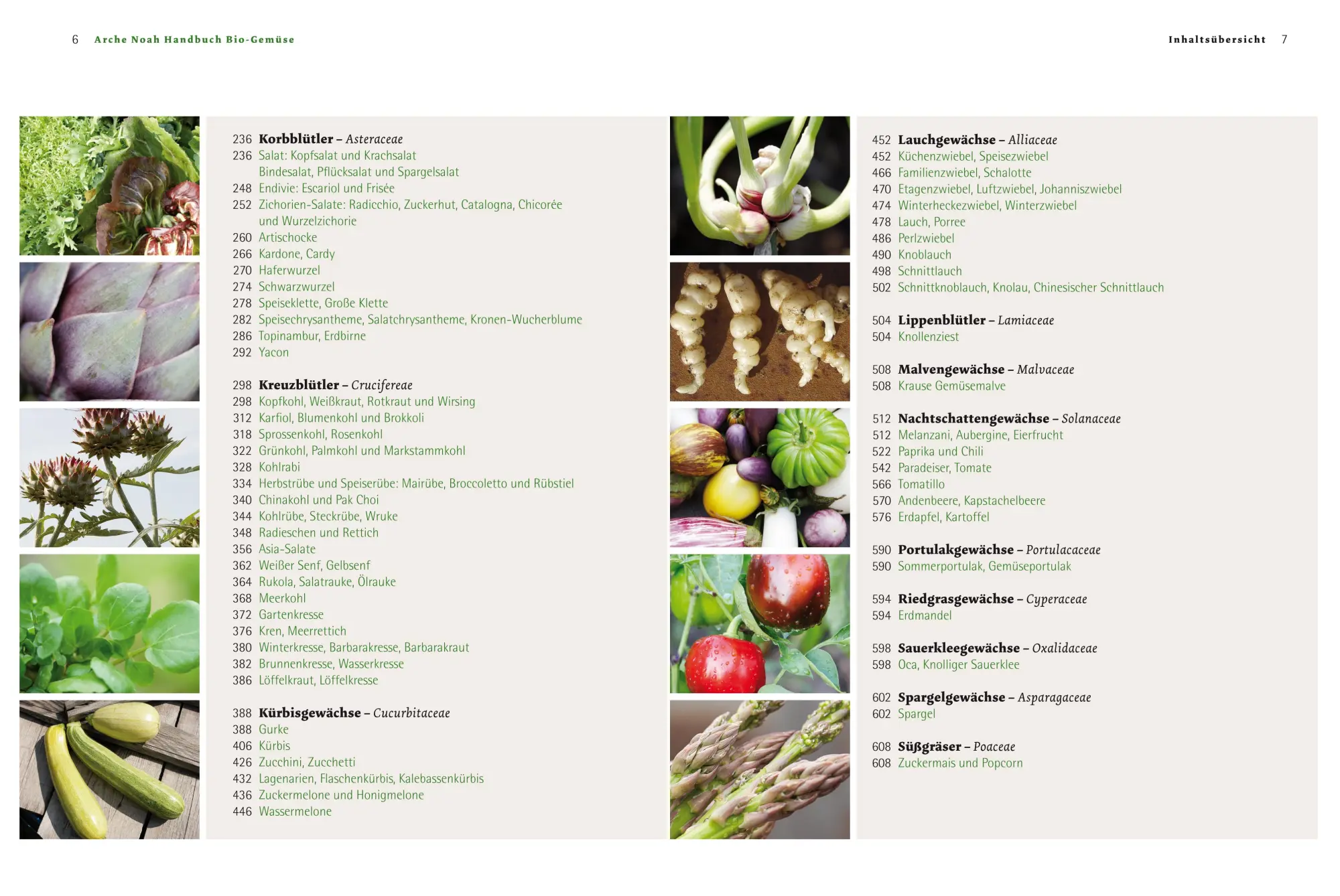 Bild: 9783706624596 | Handbuch Bio-Gemüse | Sortenvielfalt für den eigenen Garten | Buch