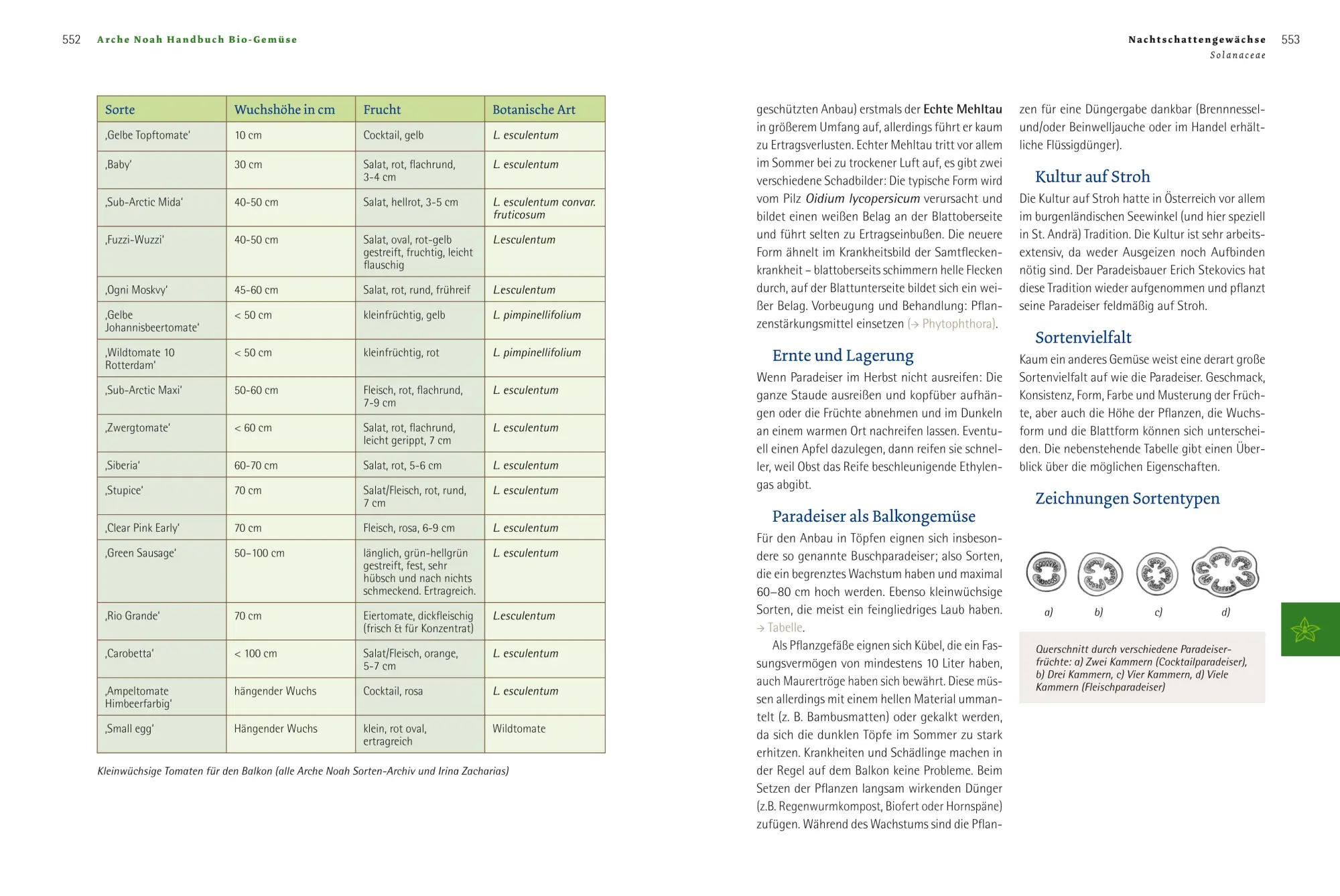 Bild: 9783706624596 | Handbuch Bio-Gemüse | Sortenvielfalt für den eigenen Garten | Buch