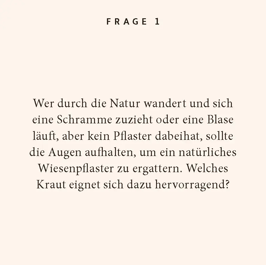 Bild: 9783899784596 | Kräuter-Quiz | 100 Fragen und Antworten | Nicole Steffens | Buch