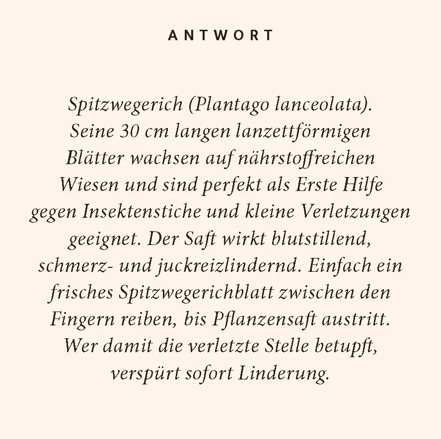 Bild: 9783899784596 | Kräuter-Quiz | 100 Fragen und Antworten | Nicole Steffens | Buch