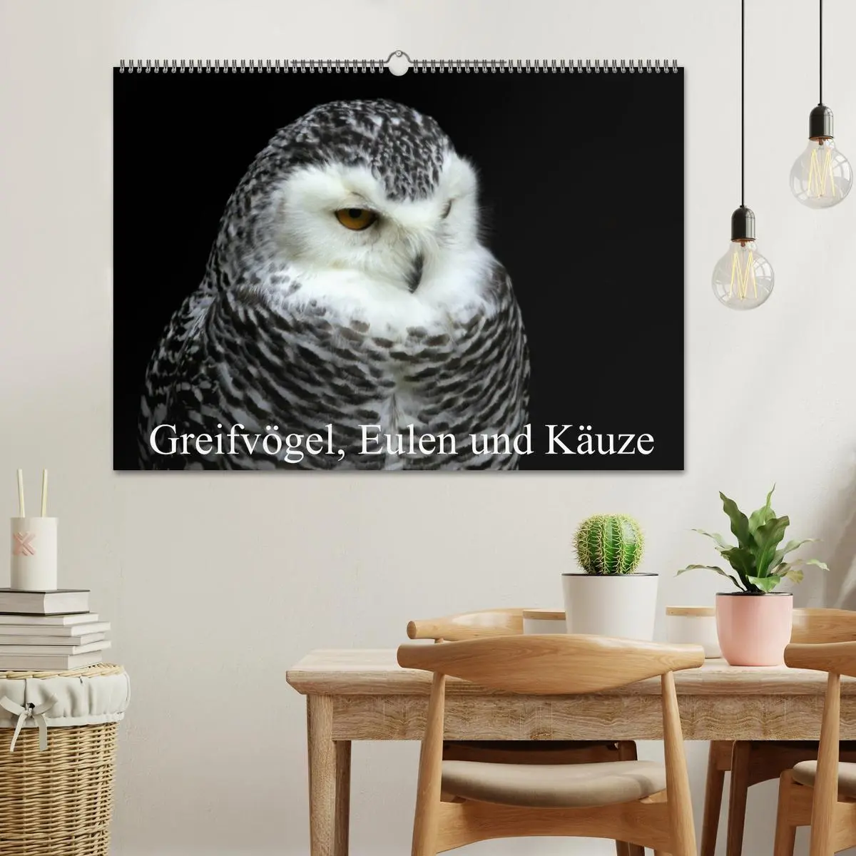 Bild: 9783457994696 | Greifvögel, Eulen und Käuze (Wandkalender 2026 DIN A2 quer),...