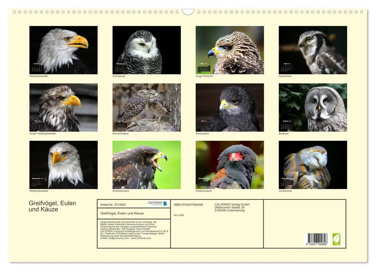 Bild: 9783457994696 | Greifvögel, Eulen und Käuze (Wandkalender 2026 DIN A2 quer),...