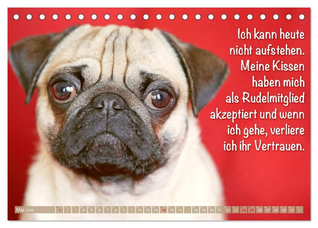 Bild: 9783516604696 | Mopsala: Vom Glück, ein Mops zu sein (Tischkalender 2026 DIN A5...