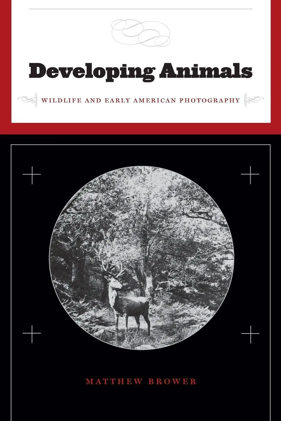 Cover: 9780816654796 | Developing Animals | Wildlife and Early American Photography | Brower