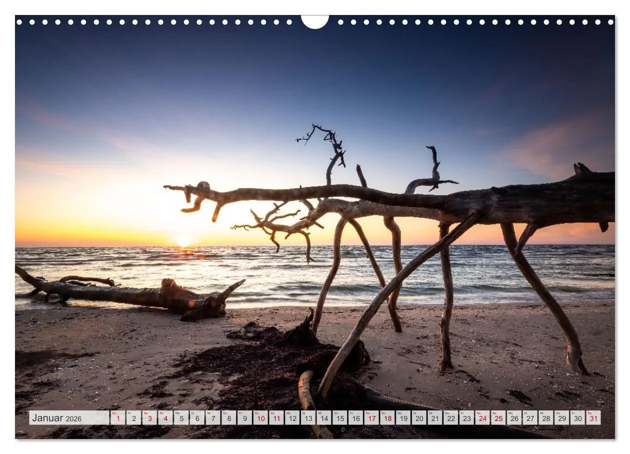 Bild: 9783457504796 | Traumhaftes Baltikum (Wandkalender 2026 DIN A3 quer), CALVENDO...