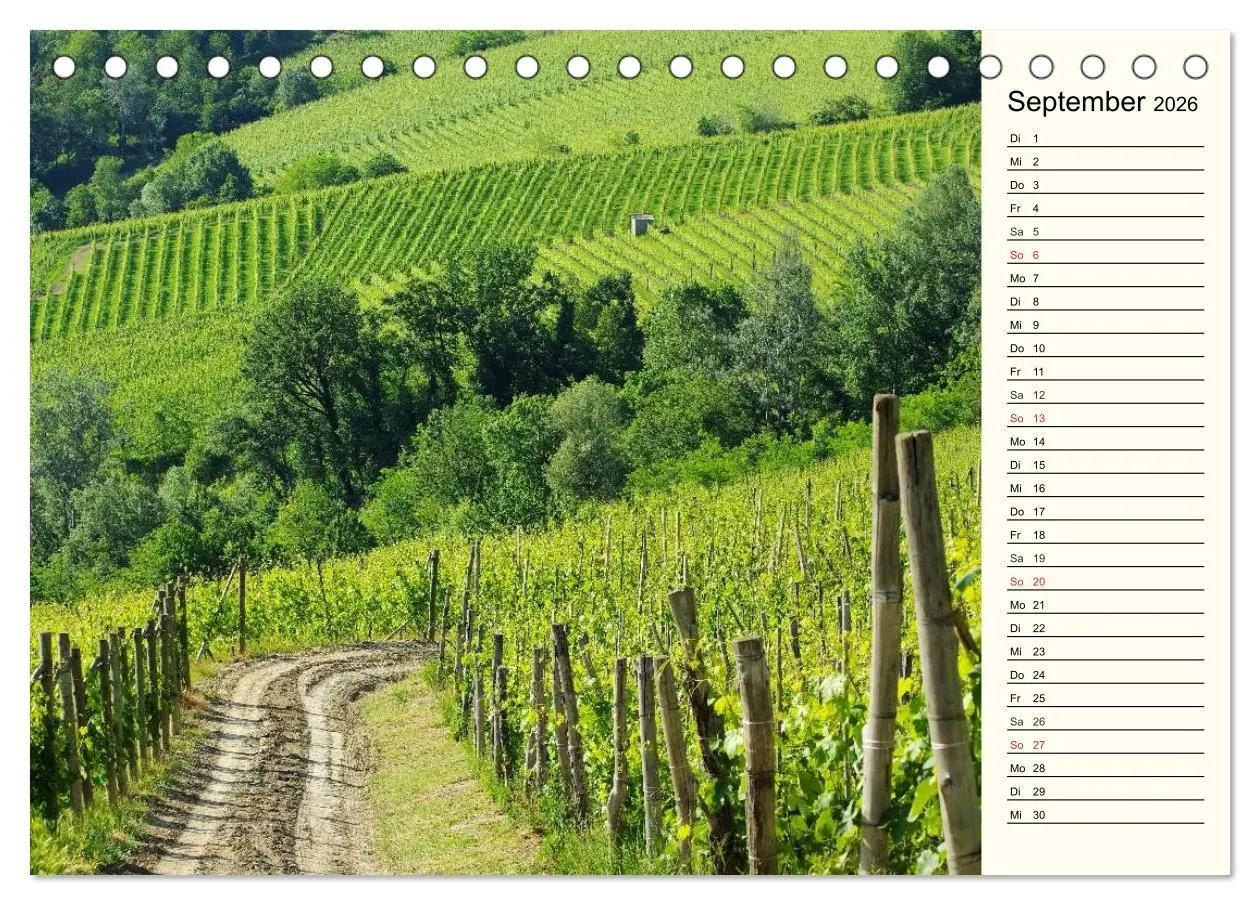 Bild: 9783457984796 | Die Langhe - Im Herzen des Piemonts (Tischkalender 2026 DIN A5...